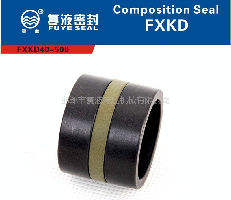 FXKD孔用組合密封